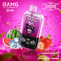 Bang Leader 120K Dual-Flavor Pod | Magnetic Slide Switch | 120,000 Puffs | Fresh Swap Technology Disposable Vape