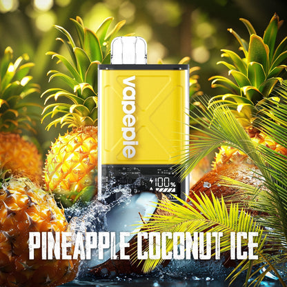 Watermelon Ice & VAPEPIE Ultra 12000 PUFFS