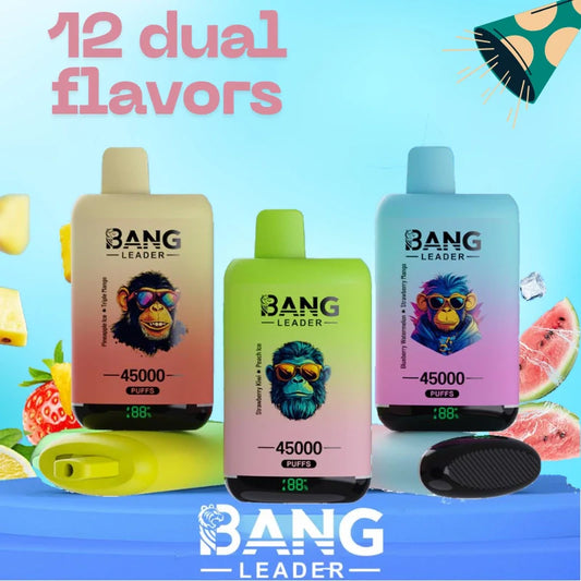 Bang Leader 45000 Puffs Dual Flavors Factory Direct Supply Bulk Price-650mAh Battery,  Multiple Nicotine 12 Flavors