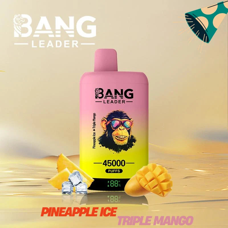 Bang Leader 45000 Puffs Dual Flavors Factory Direct Supply Bulk Price-650mAh Battery,  Multiple Nicotine 12 Flavors