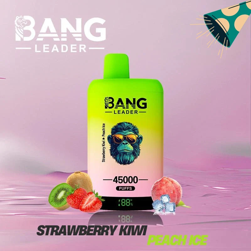Bang Leader 45000 Puffs Dual Flavors Factory Direct Supply Bulk Price-650mAh Battery,  Multiple Nicotine 12 Flavors