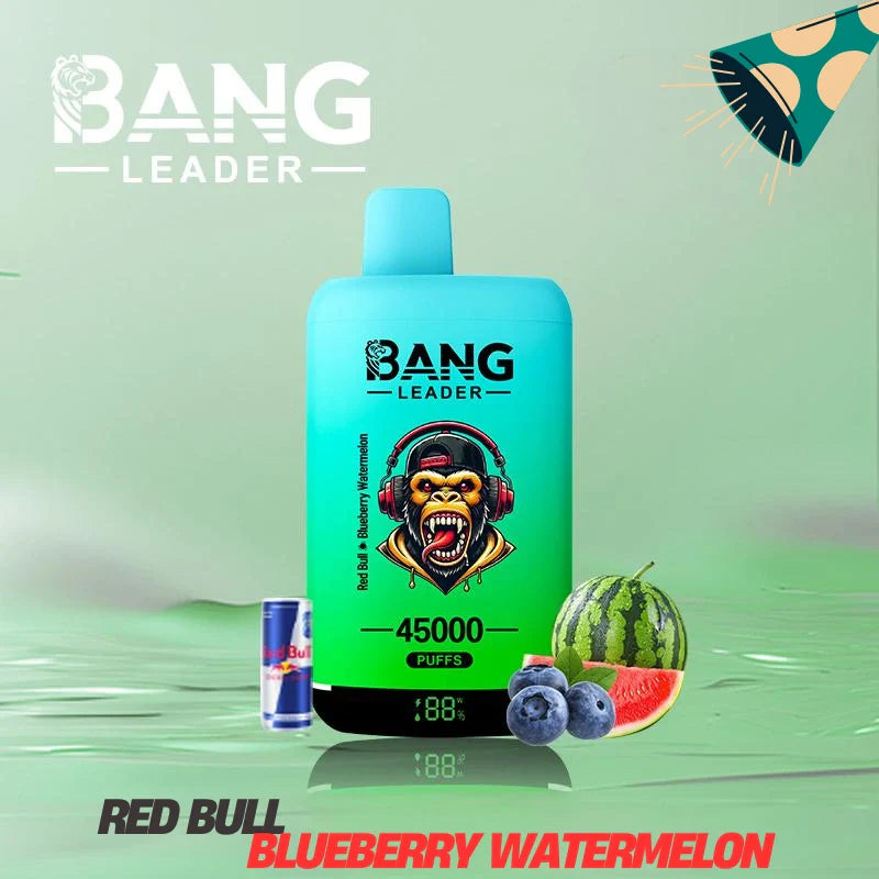Bang Leader 45000 Puffs Dual Flavors Factory Direct Supply Bulk Price-650mAh Battery,  Multiple Nicotine 12 Flavors