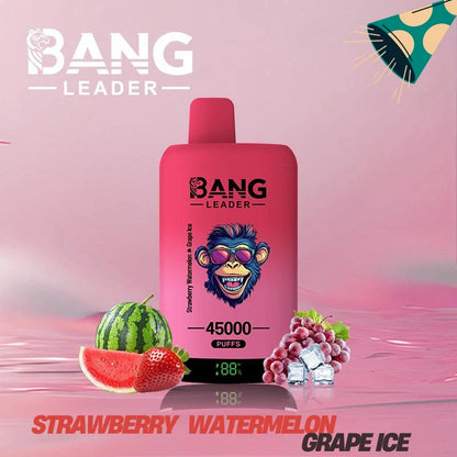Bang Leader 45000 Puffs Dual Flavors Factory Direct Supply Bulk Price-650mAh Battery,  Multiple Nicotine 12 Flavors