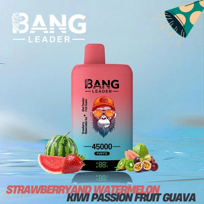 Bang Leader 45000 Puffs Dual Flavors Factory Direct Supply Bulk Price-650mAh Battery,  Multiple Nicotine 12 Flavors