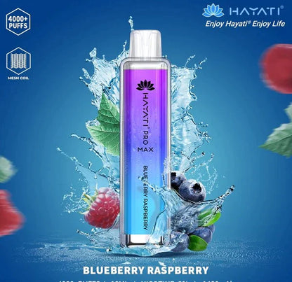Hayati Pro Max 4000 Puffs