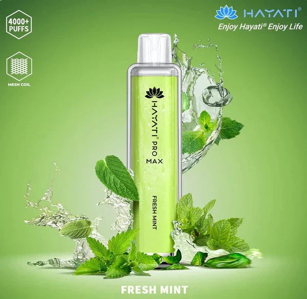Hayati Pro Max 4000 Puffs