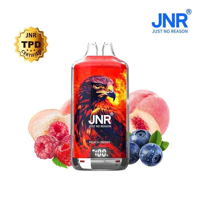 JNR FALCON X PLUS 28000 puffs bar 20mg nicotine (Box of 10) 10 Flavors