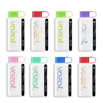 Box of 10 Vozol Star 12000 Vape Kit