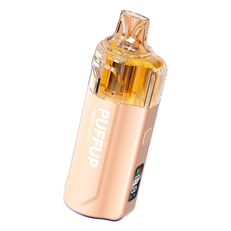 Puffup 25000 Puffs Disposable Vape 15ml 5%