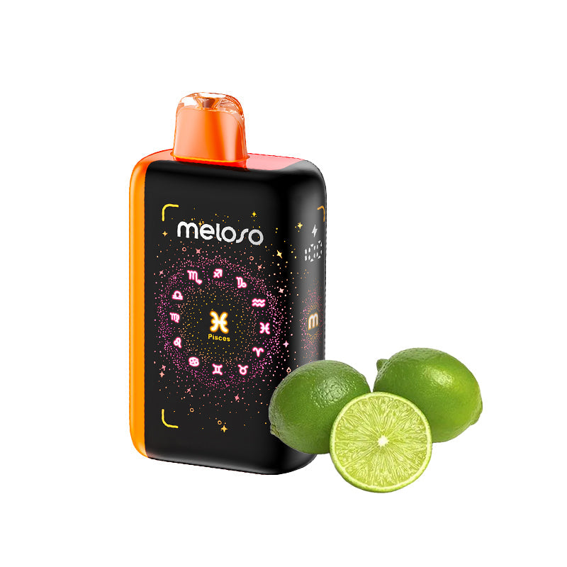 Geek Bar Meloso Bar 30000 Puffs Disposable Vape Wholesale-18ml E-liquid, Multiple Nicotine 12 Flavors