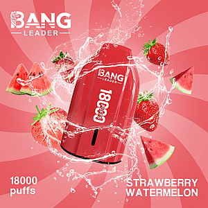 Bang Leader 18K Disposable Vape – Pure Flavor | 18,000 Puffs | Porsche Design | Smooth Taste