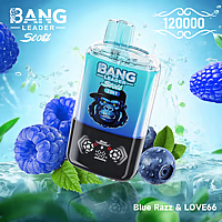 Bang Leader 120K Dual-Flavor Pod | Magnetic Slide Switch | 120,000 Puffs | Fresh Swap Technology Disposable Vape